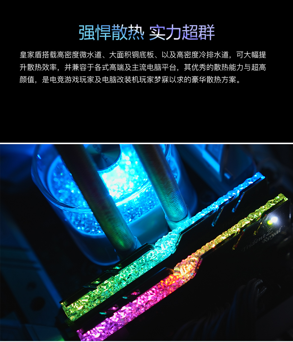 G.SKILL芝奇 360皇家盾一体式CPU水冷散热器ARGB炫彩神光风扇冷排