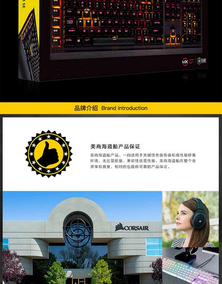 美商海盗船（USCORSAIR）K95 RGB 铂金系列 电竞游戏键盘 樱桃机械键盘 银轴有线键盘 SE银轴 金色限量版