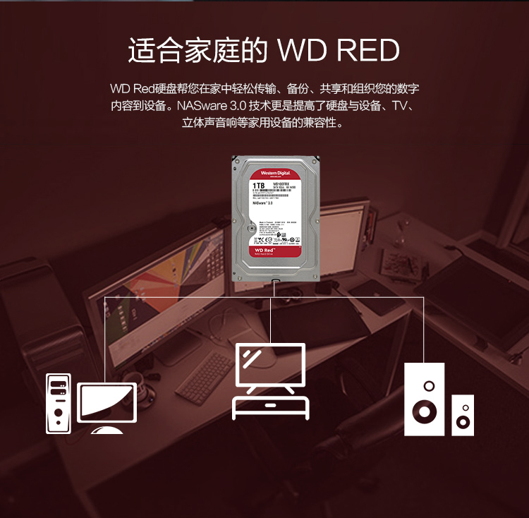西部数据(WD)红盘 1TB SATA6Gb/s 64M 网络储存(NAS)硬盘(WD10EFRX)