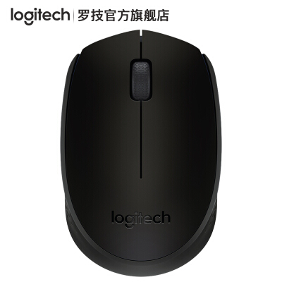 罗技（Logitech） M171无线鼠标笔记本电脑商务办公无线光电鼠标 黑