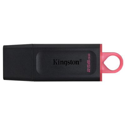 金士顿（Kingston）u盘 USB3.2 Gen 1 DTX高速车载闪存优盘 256GB