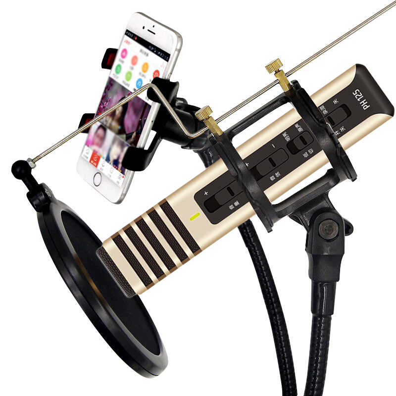 得胜（TAKSTAR）PH-125手机麦克风全民K歌唱吧主播直播话筒适用安卓苹果手机电容麦 气质金