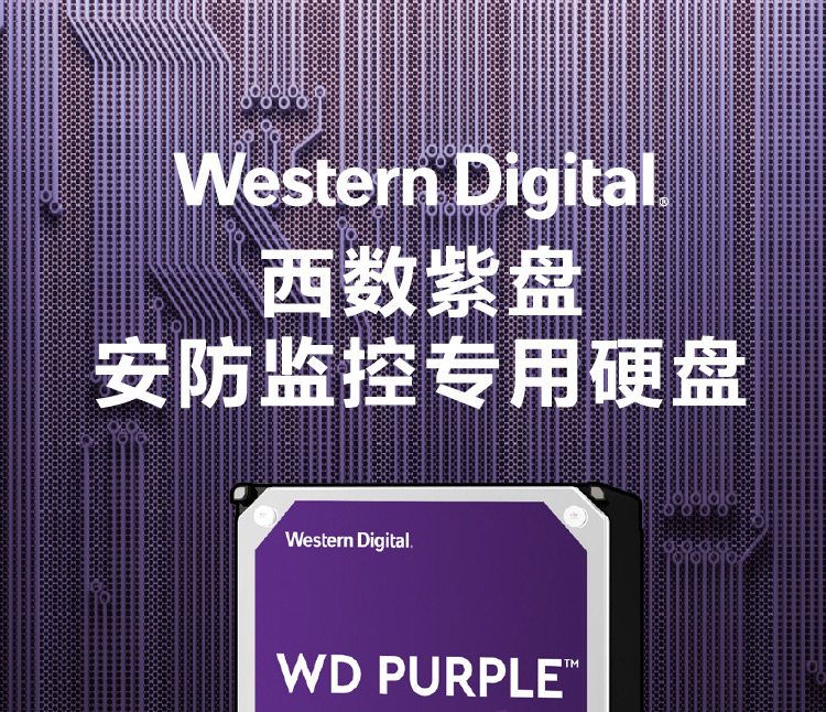 西部数据(WD)紫盘 8TB SATA6Gb/s 256M 监控硬盘(WD81EJRX)